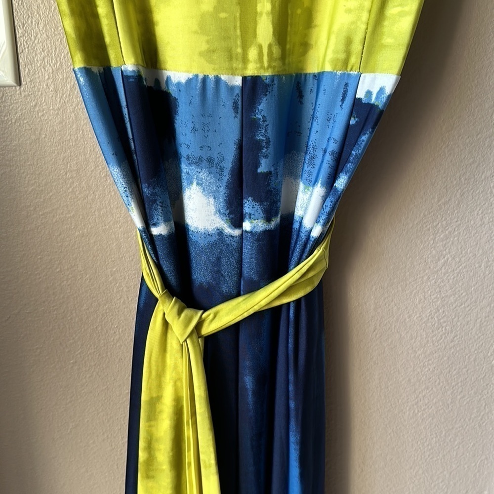 BLOOMING ROSE Colorblock Sleeveless Maxi Dress - Picture 5 of 7